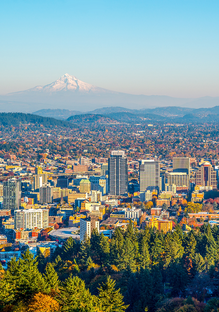 Portland with trees in the foreground, city in the middleground, and mountains in the distance 