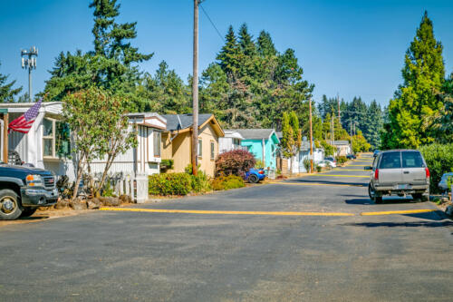 Excalibur Village Community Homes and Streets
